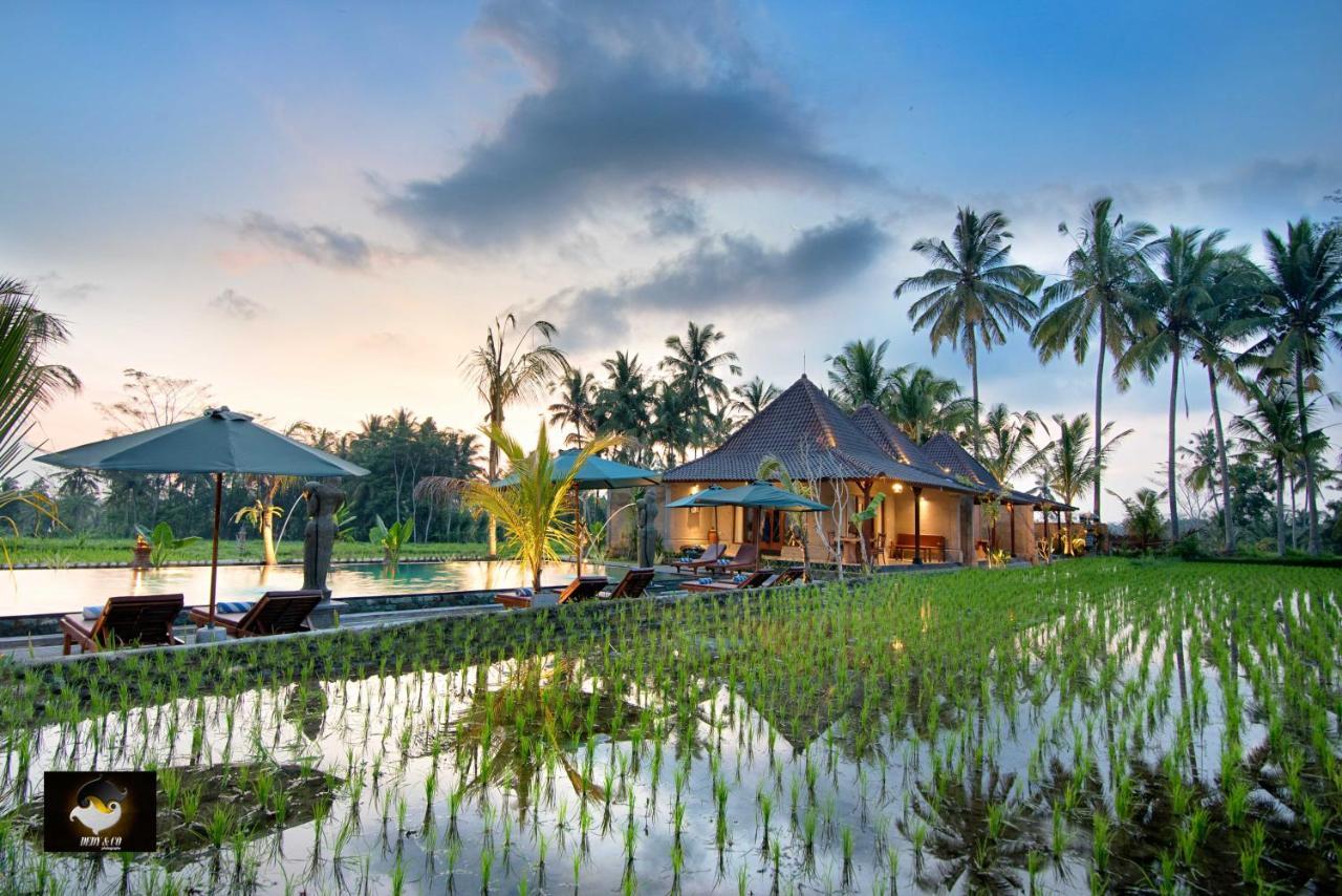 Intan & * Ubud